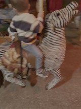 Motion Blur Street Performance in Striped Costume
