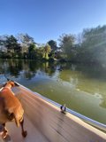 Serenity on the Water