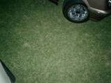 Parked Car with Alloy Wheel on Grass