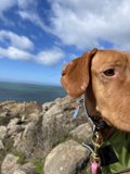 Rocky Hills Adventure