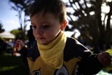 Sunset Radiance: A Day at SF Zoo