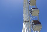 Sky-High Fun on the Ferris Wheel