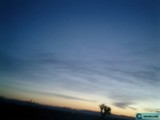 Blurry Sunset with Tree Silhouette