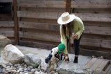 A Mother and Son's Adventure in Big Sur