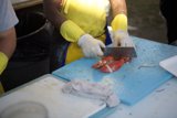 Lobster Cutting 101