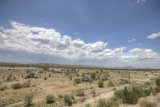Desert Dreams
