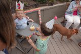 Birthday Joy on the Deck
