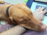 Relaxing with my Furry Friend