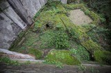 Overgrown Courtyard of Abandoned Historical Building
