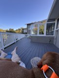 Peaceful Moments on the Deck