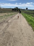 Running into the Great Blue Yonder