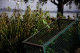 A Serene Moment by the Lake