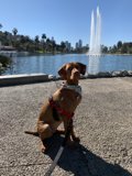 Serenity by the Fountain