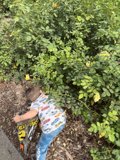 Hidden Treasures in the Garden