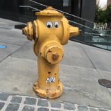 Googly Eyes Fire Hydrant