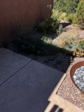 Desert Oasis