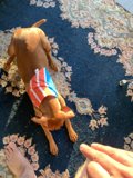 Patriotic Pooch