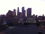 Urban Jungle