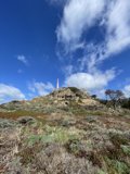 Towering Over a Vast Grassland