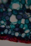 Blue and Green Fractal Pattern Sphere