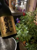 Sipping Sake Among the Foliage