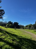 Serene Countryside Pasture