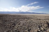 Desert Journey