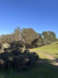 Whispers of Wilderness: A Journey Through the Rural Charm