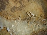 Crystal Formation in a Cave