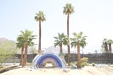 Rainbow Oasis in the Desert