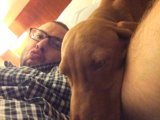 A Cozy Nap with Man's Best Friend