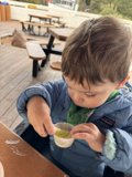 Sweet Moments: Wesley's Ice Cream Adventure