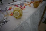 Citrus Delight