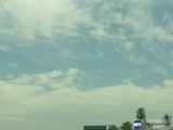 Sky and Palm Trees