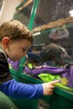 Wesley's Discovery at the California Academy of Sciences