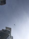 Flying high above the urban jungle