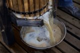 Pouring Fresh Apple Cider at the UA Farm