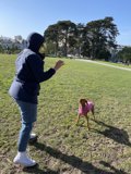 Frisbee Fun in Alamo Square