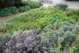 Garden Wonderland