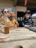 Table for Two: A Woman and Her Canine Companion