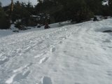 A Winter Adventure