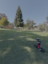 Child Learning to Ride Bike in Park