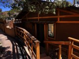 Rustic Oasis