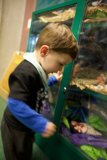 Underwater Fascination: A Day at the California Academy of Sciences