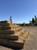 Scaling the Haystack