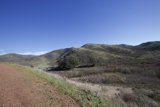 The Serene Pathway: Marin Headlands Hill 88
