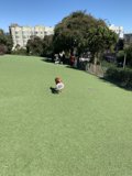 Playful Pup in Lafayette Park
