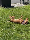 Lazy Days in the Park