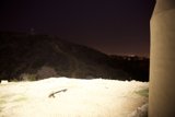 Nighttime Rest on the Hillside