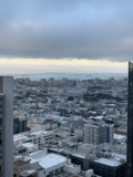 Overlooking the Urban Metropolis
